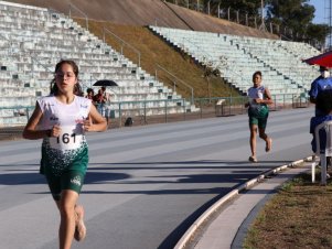 Campeonato Mineiro de Atletismo